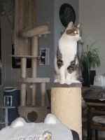 /album/09-11-20251/afbeelding-van-whatsapp-op-2025-11-08-om-08-04-30-0dd42809-jpg/